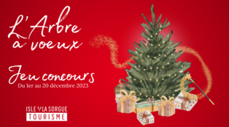 Jeu-concours de Noël