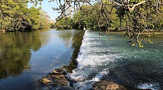 La Sorgue