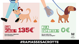 Déjections canines