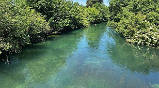 La Sorgue