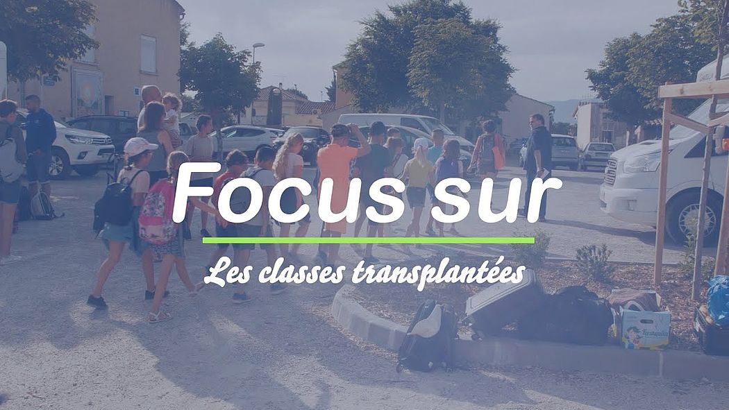 Focus sur les classes transplantées