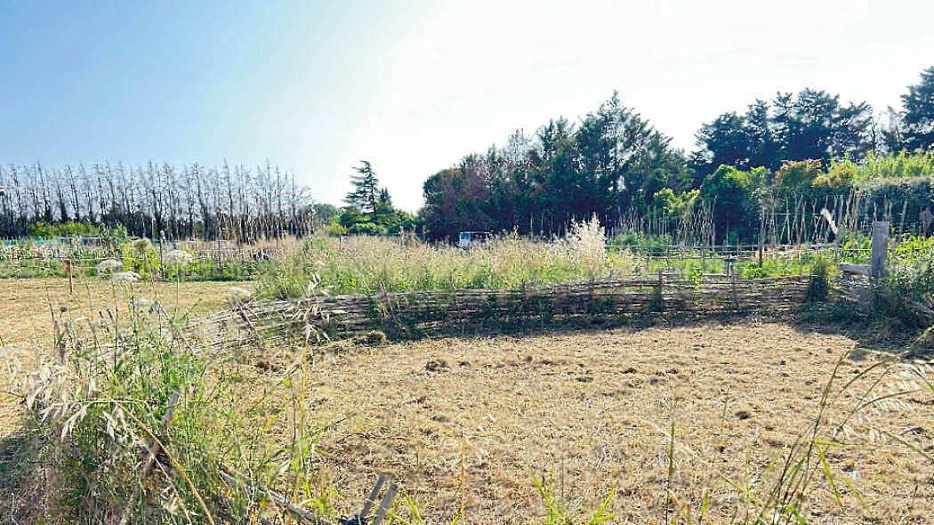 Jardins partagés