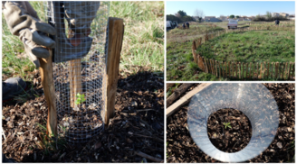 Gestion durable des espaces verts