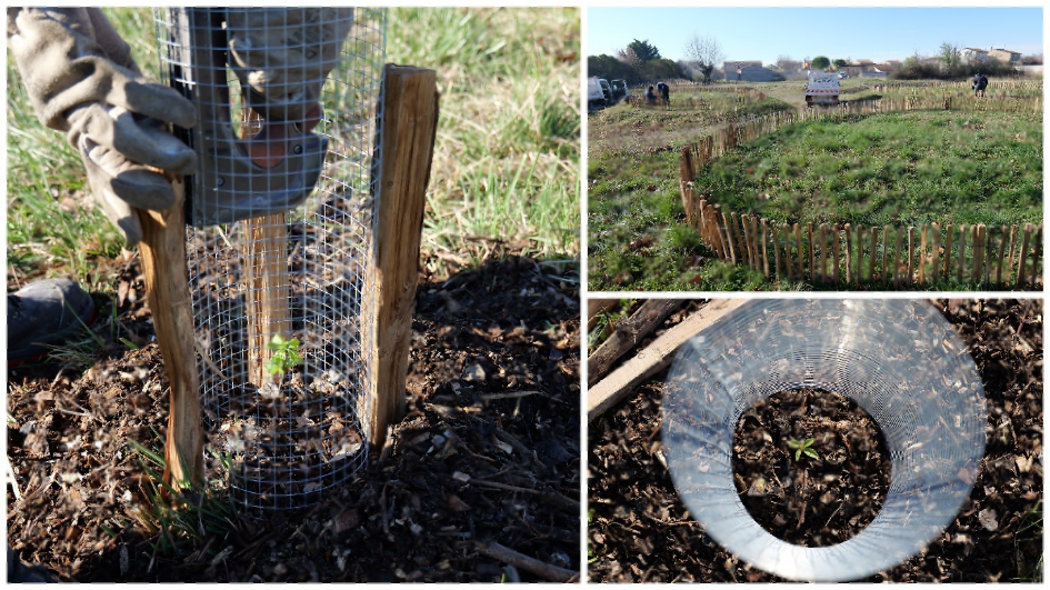 Gestion durable des espaces verts