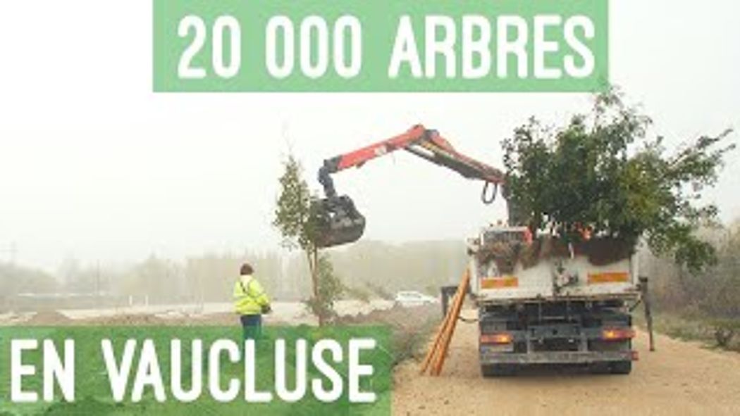 20 000 arbres en vaucluse
