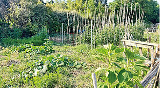 Jardins familiaux